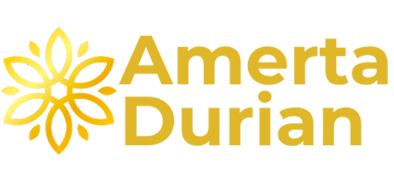 amertacorp.com