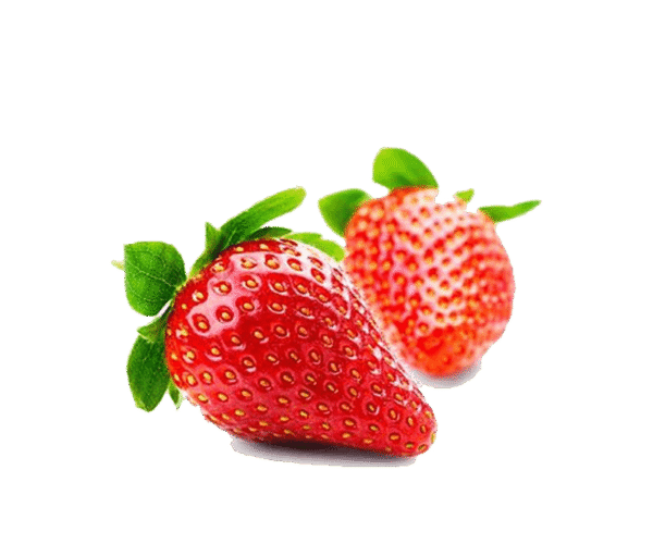 h3-product13 h3-product13